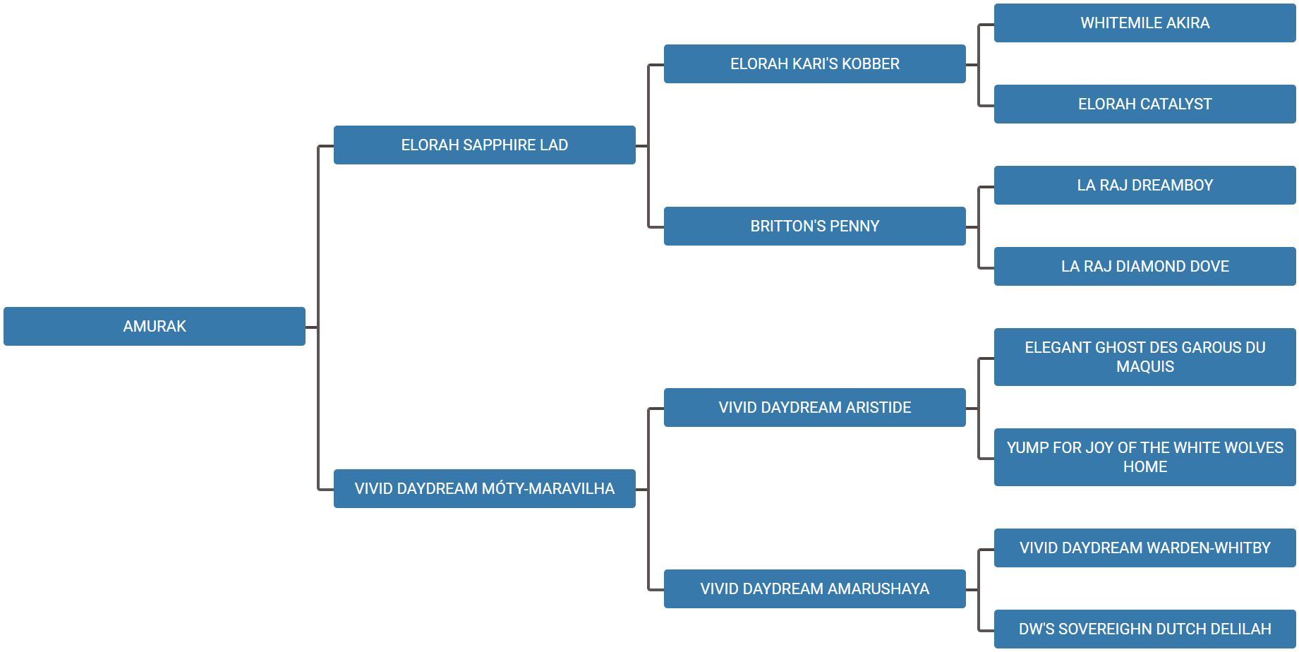 Stamboom van Amurak, vaderhond van de pups